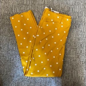 NWT CUTE POLKA DOT PANTS